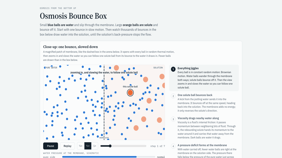 Osmosis Bounce Box - screenshot